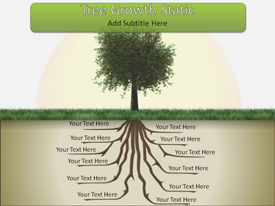 A standard definition presentation slide from Tree Root Growth preview four.