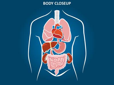 A standard definition presentation slide from Inside Medical preview four.