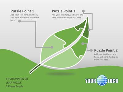 A standard definition presentation slide from Environmental Puzzle preview four.