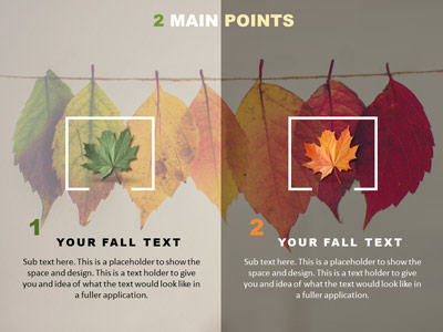 A standard definition presentation slide from A Years Progression preview four.
