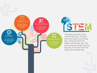 A standard definition presentation slide from Stem Education preview four.
