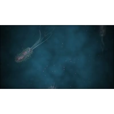 A pool of microbes swims under the microscope in this animated video. 