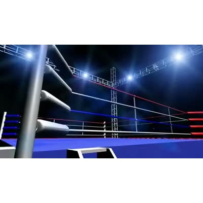 an aieral view of a moxing ring 