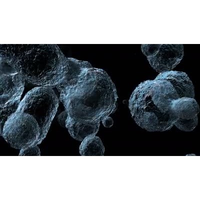 This video show many bacterial organisms floating.