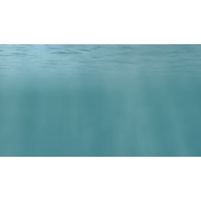 A scene from under the water.