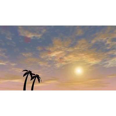 A sunset is shown behind palm trees.