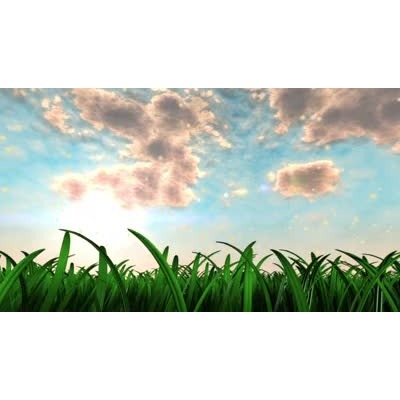 Close-up of grass swaying in a breeze with clouds in the sky.