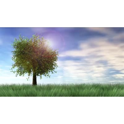A simulated time-lapse of a meadow with a solitary tree with the clouds rolling by in the sky.