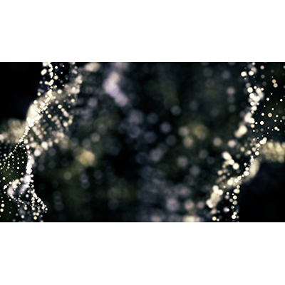 An array of dots in and out of focus wave randomly.