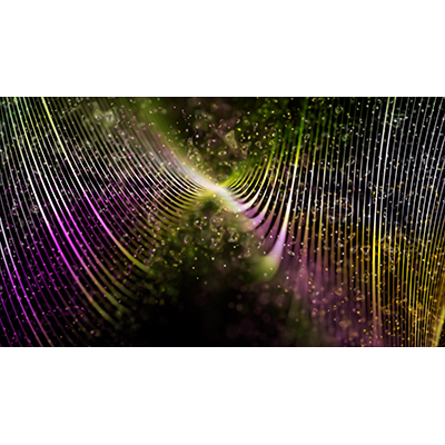 Curved lines rotate among moving squiggles that are in and out of focus.