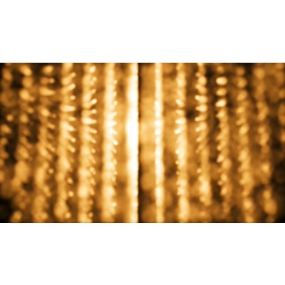 An impressive display of a bright golden array of rows.