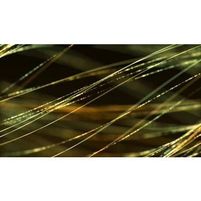 Golden threads flow across this abstract video.