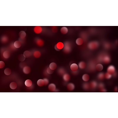 Colorful particles in a cluster on this abstract video.