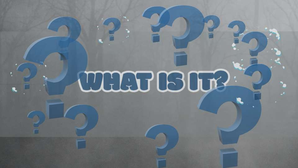 foggy swamp questions video background preview image.