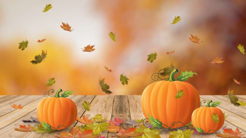 pumpkins and leaves video background preview image.