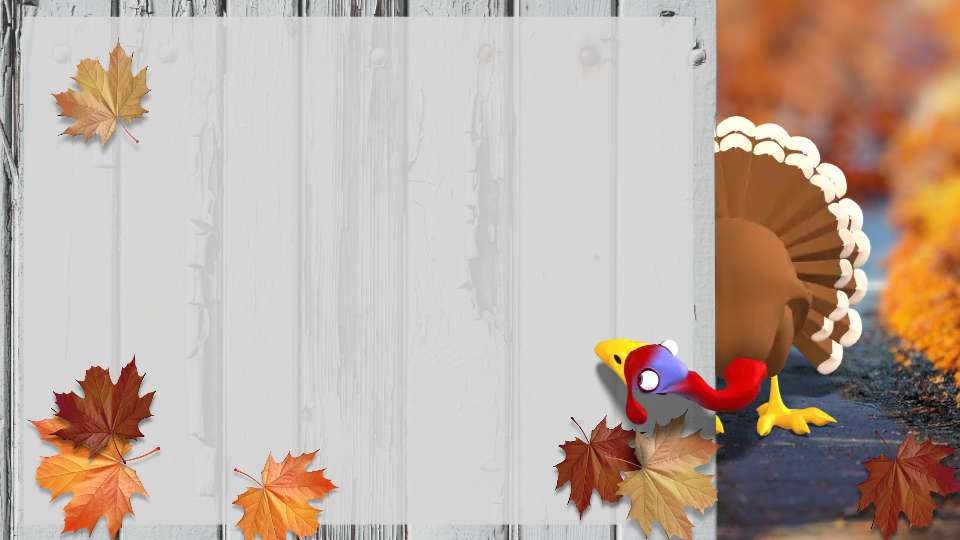 turkey surprise video background preview image.