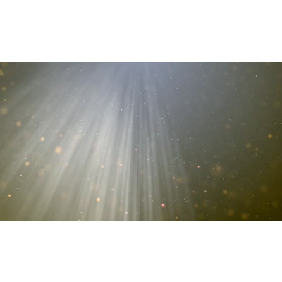 Colorful particles rising upward on this abstract video.