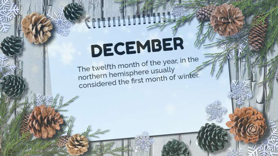 winter pine cones video background preview image.
