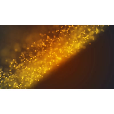 Bright golden particles float across this video background.