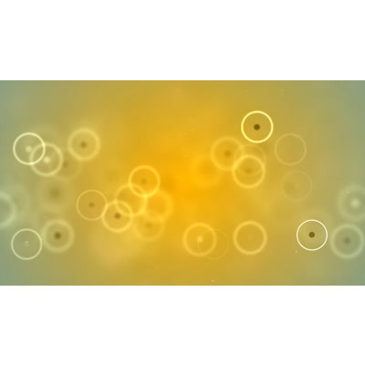 Floating colorful spheres across this abstract video.