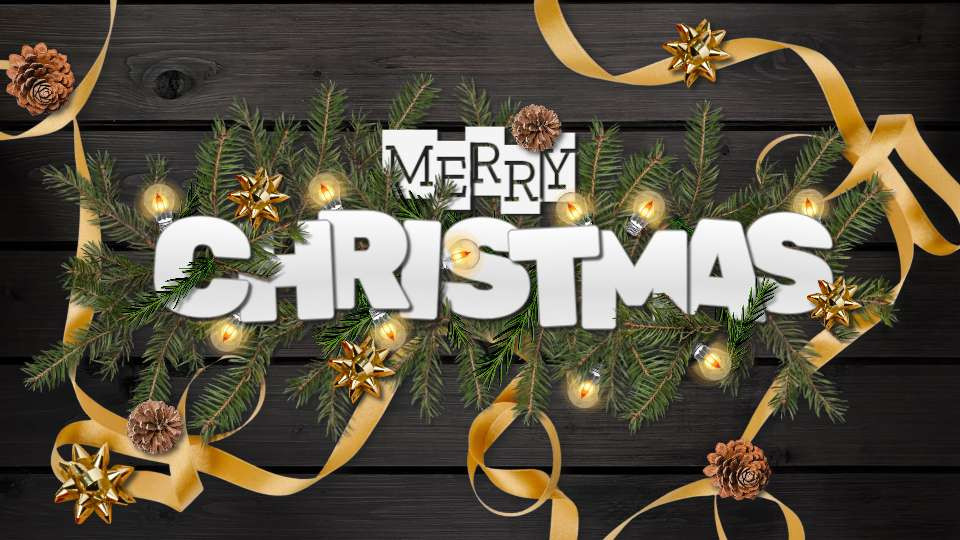 christmas fir video background preview image.