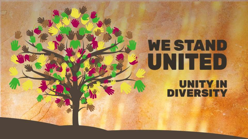 unity in diversity tree video background preview image.