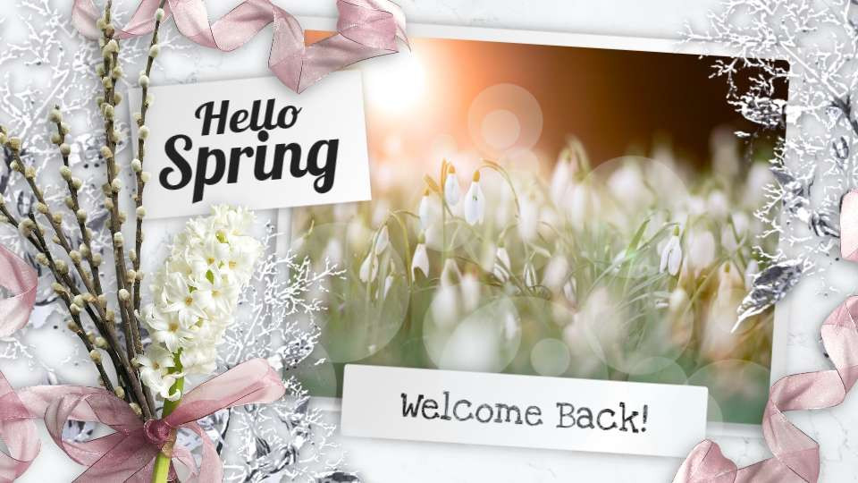 hello spring photo layout video background preview image.