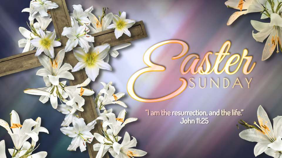 easter sunday video background preview image.
