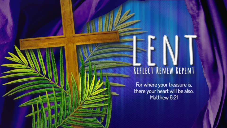 lenten palms video background preview image.