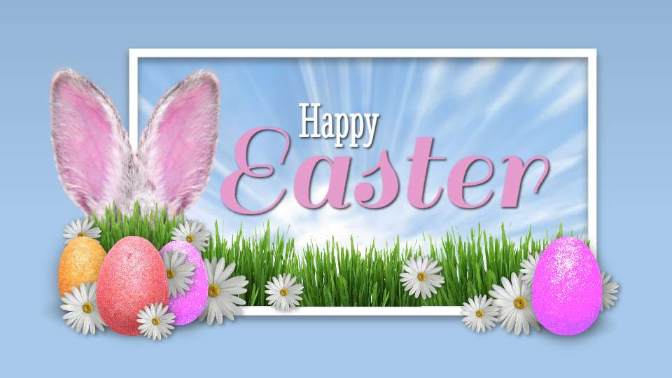 easter ears video background preview image.