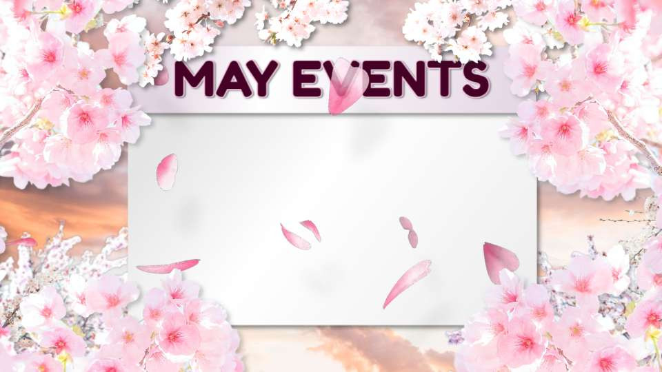 cherry blossom may calendar video background preview image.
