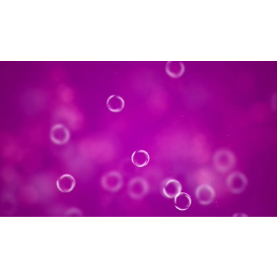 Colorful particles floating across this abstract video.