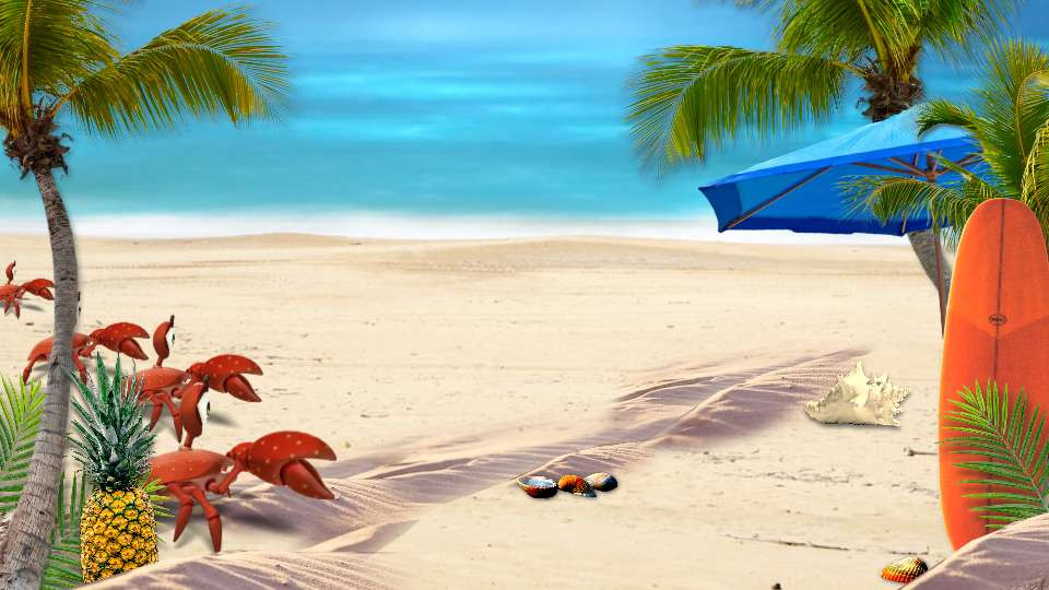 beach crabs race video background preview image.
