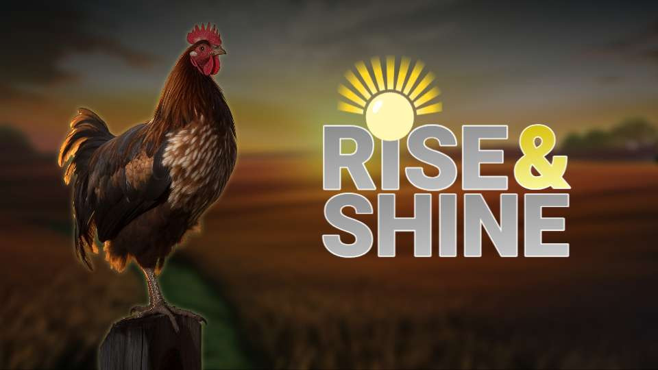 rise and shine farm video background preview image.