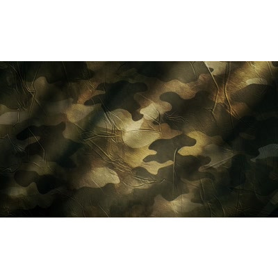Wavy Camouflage Army Pattern: This motion video depicts dynamic ripples, adding depth and intrigue to military related visual projects.