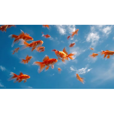Download this surreal video background of goldfish swimming in the sky with clouds. Perfect for creativity, imagination, dreams, and abstract themes.