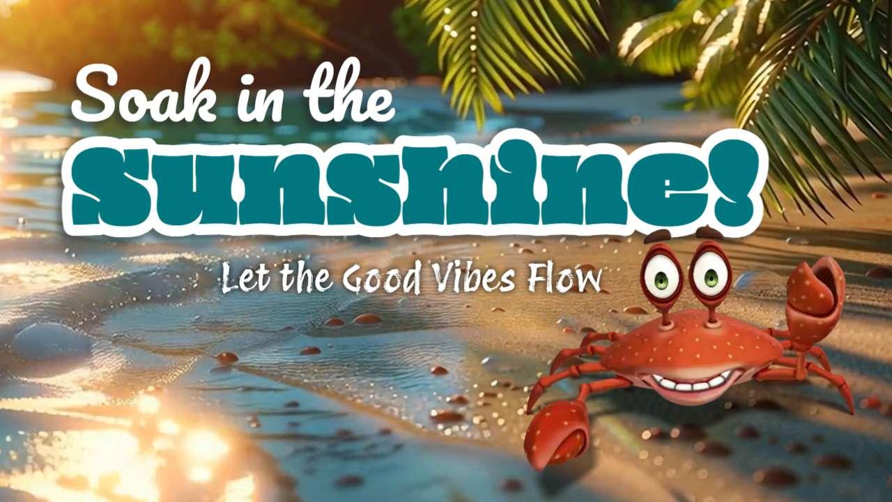 summer beach video background preview image.