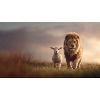 This enchanting video background features a lion and lamb walking together, symbolizing peace and unity.