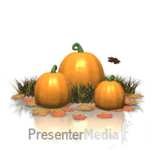 ID# 164 - Pumpkins With Leaves - PowerPoint Animation