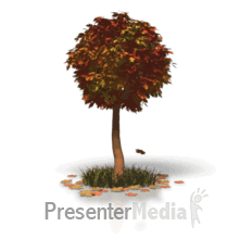 Fall Tree Leaves 3d Animated Clipart For Powerpoint Presentermedia Com