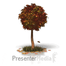 ID# 166 - Fall Tree Leaves - PowerPoint Animation