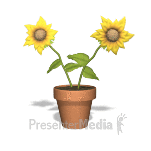 Sunflowers Dancing | 3D Animated Clipart for PowerPoint 