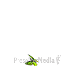 Green Butterfly Flying Around | 3D Animated Clipart for PowerPoint -  