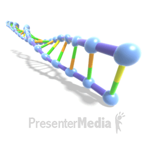 dna helix spinning