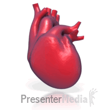 Heart Beating 3d Animated Clipart For Powerpoint Presentermedia Com