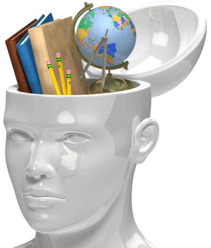knowledge head