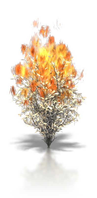 clipart of burning bush