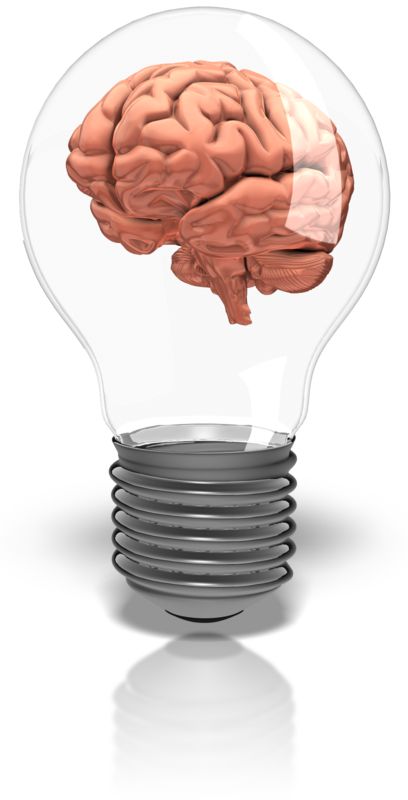 lightbulb brain clipart