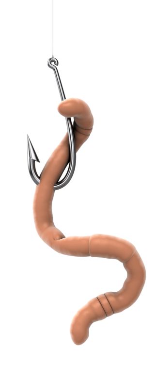 Worm On A Hook  Great PowerPoint ClipArt for Presentations 