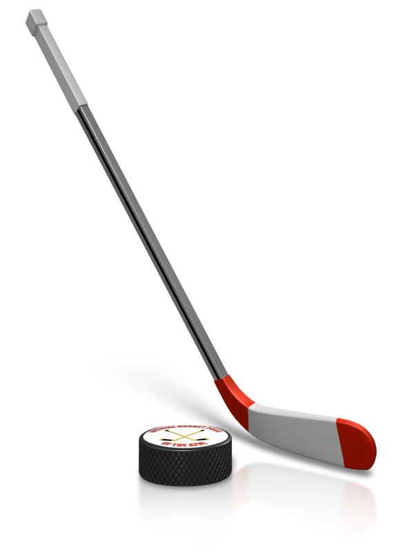 hockey puck and stick